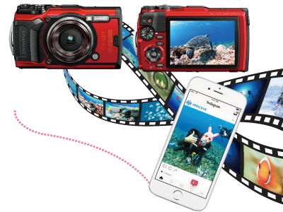 写真&動画プレゼント