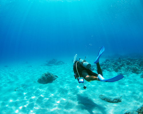 スキルを磨くスペシャルティコース