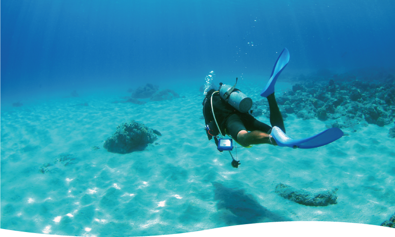 スキルを磨くスペシャルティコース