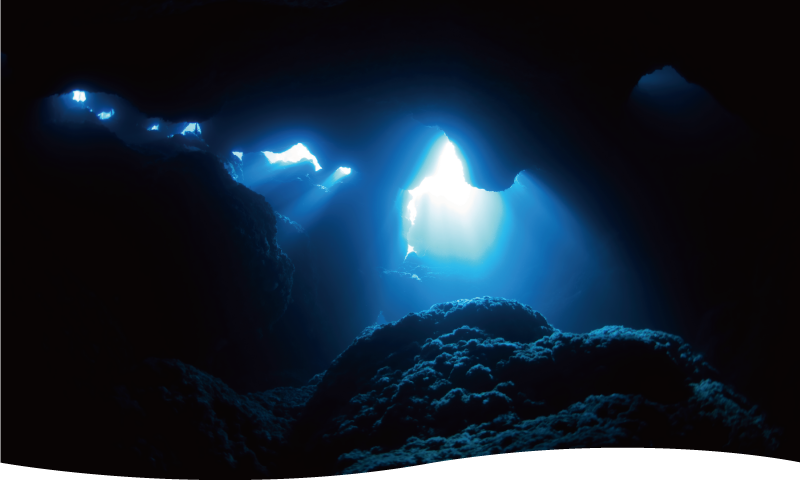 行動範囲を広げるスペシャルティコース