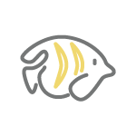 休日も無料で遊び放題