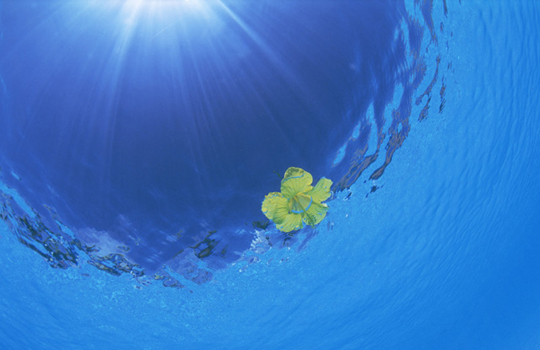 人へのこだわり