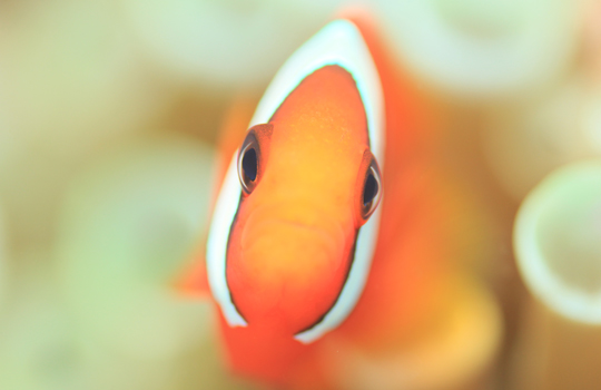 時間へのこだわり