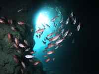 振り返るとそこが青の洞窟!