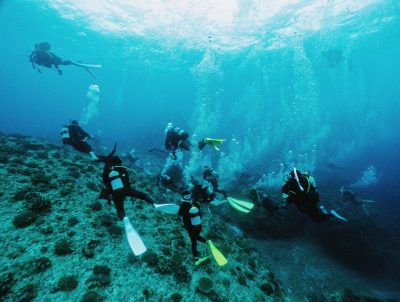 粟国DIVEじゃ!ギンガメじゃ!ダイバー祭りじゃー!
