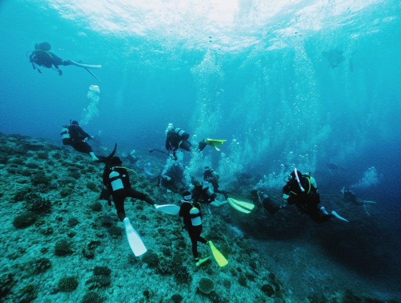 粟国DIVEじゃ！ギンガメじゃ！ダイバー祭りじゃー！