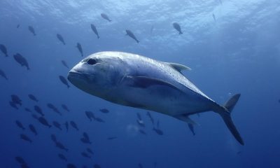 久々に来た沖縄は、やっぱり最高!