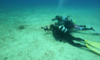 ケラマもいいけど、恩納もね！