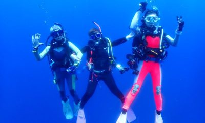 緩急激しい3ダイブ！