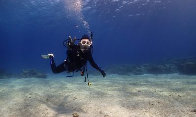 新OWダイバーここに誕生☆