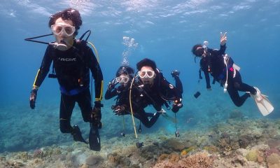 ウミガメとランデブー♪