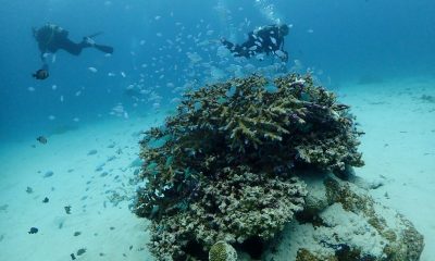 冬のケラマ突入だぜ～！