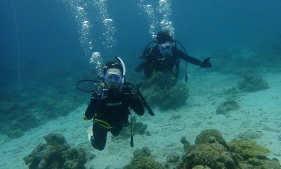 新OWダイバー誕生だぜ～！