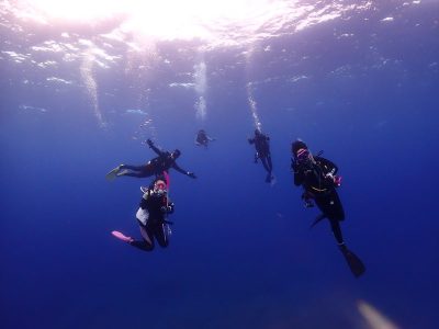 今年もアグニ、始めました！
