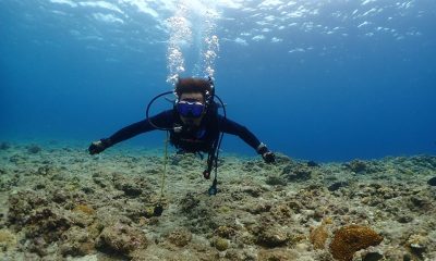 もしかして梅雨明けた?