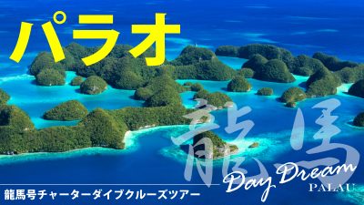 パラオダイブクルーズ☆龍馬号チャーター☆８ダイブ付き５日間