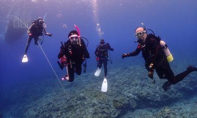 魚影に包まれて♪