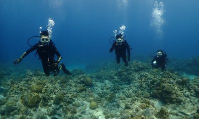 慶良間にてOWダイバー誕生！！