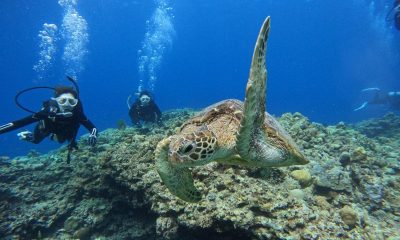 秋の気配の中、カメだよっ！