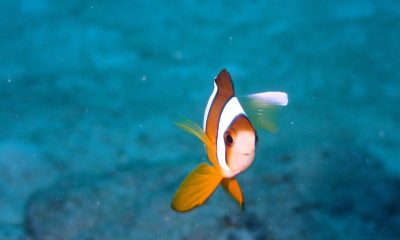 ふ、冬の海じゃないか♪