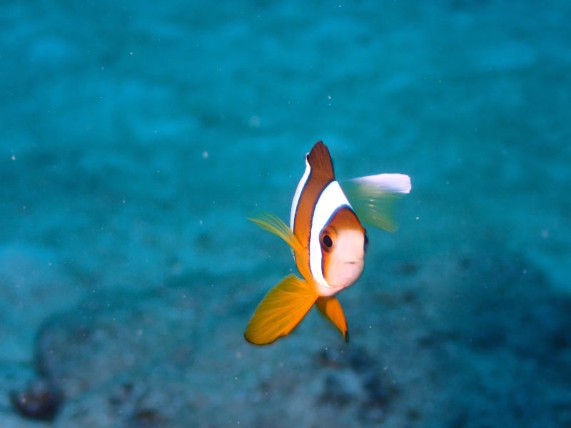 ふ、冬の海じゃないか♪