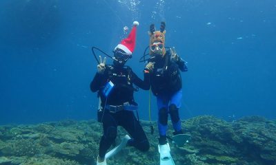 夏の穏やかさも今日までかな♪