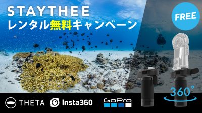 STAYTHEEレンタル無料キャンペーン