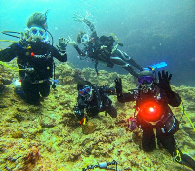 今日は~35(サンゴ)の日~☆in恩納村