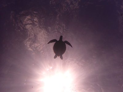 気持ちいい慶良間でした！