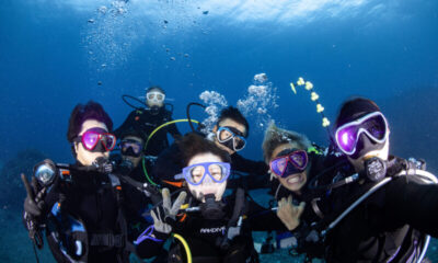 ケラマでアドバンス講習ウミガメ付き♪