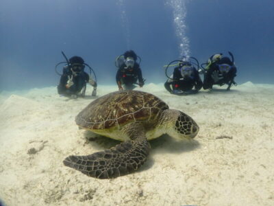 まさに楽園でした♪
