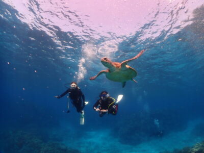 ケラマで体験サニーDAY☆