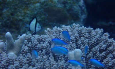 風強くてもキレイ♪