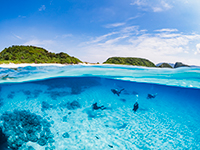 1回目のダイビング｜慶良間諸島体験2回ダイビング