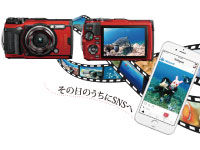 写真・動画プレゼント｜慶良間諸島体験2回ダイビング