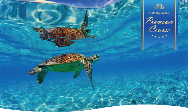 慶良間諸島体験2回ダイビングコース