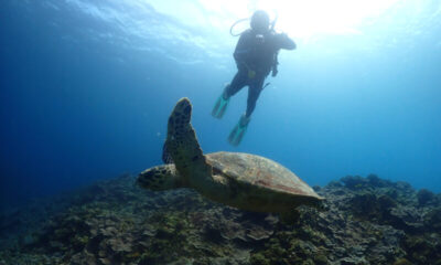 水中世界にようこそ♪