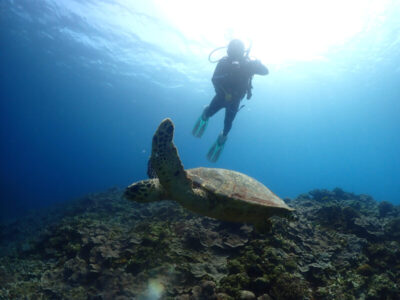 水中世界にようこそ♪