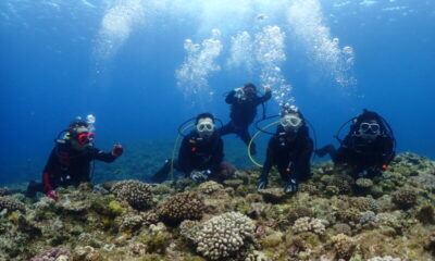 ケラマで体験ダイビング♪