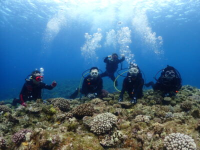 ケラマで体験ダイビング♪