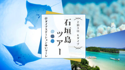 石垣島で砂地マンタ見ようぜ！2泊3日石垣島ツアー開催決定！