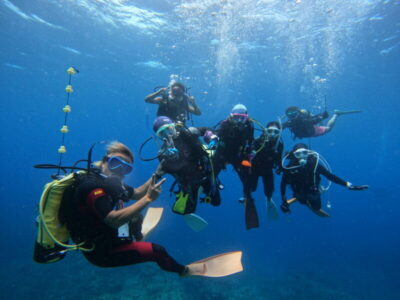 意外といけた☆ゴマモン恐し('Д')