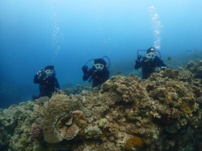 慶良間で体験ダイビング～♪