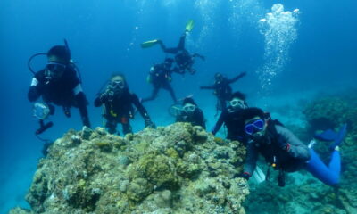 サプライズ慶良間♪