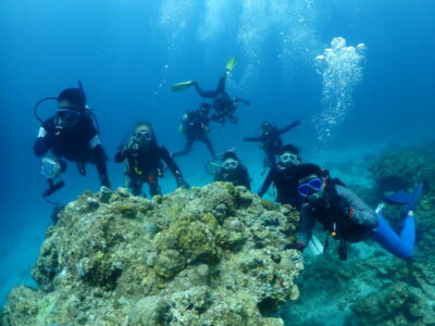 サプライズ慶良間♪