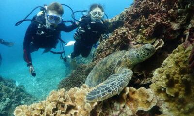 ケラマで体験ダイビング~♪