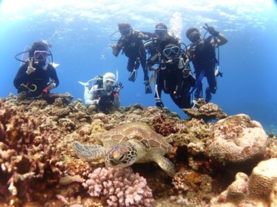 慶良間でタートルトーク♪