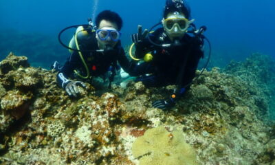 慶良間で体験ダイビング~♪