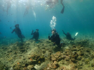 OWダイバー誕生！カメも祝福♪