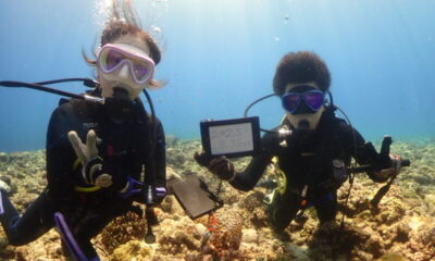 慶良間でカメとダイビング～♪